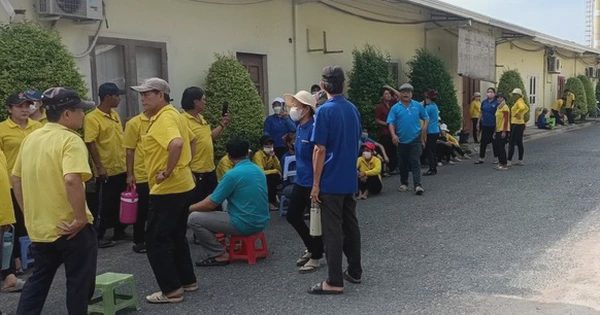 Một công ty ở TP.HCM đóng cửa, nợ lương lao động: BHXH nói về khởi kiện