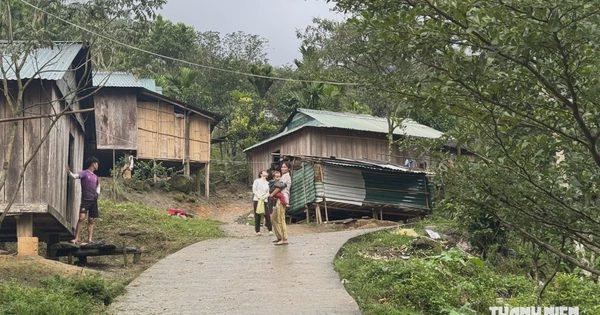 Một ngày, xã miền núi Quảng Ngãi xảy ra 4 trận động đất