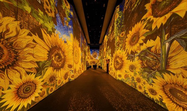Một thế giới đầy sắc màu cho con trong dịp nghỉ lễ 2/9 với Van Gogh Timeless