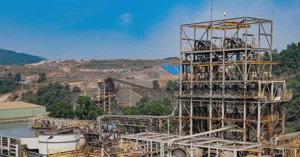 MSR dự kiến phân phối toàn bộ lợi nhuận 2026 bằng tiền mặt