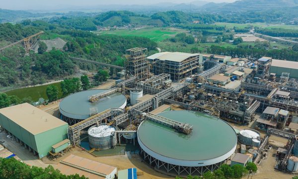 MSR mở rộng chuỗi giá trị từ năng lực chế biến sâu