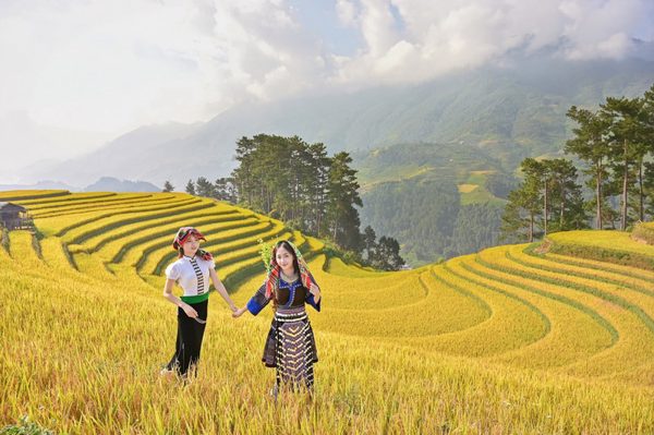 Mù Cang Chải mùa lúa chín đẹp như tranh