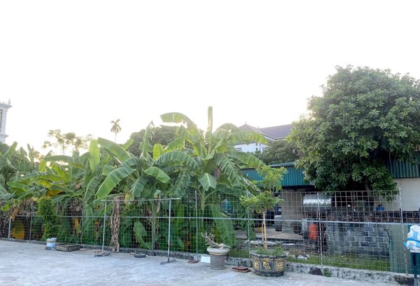 Mua đất giấy viết tay từ năm 1979, gần 20 năm không có nhà: Có được cấp sổ đỏ?