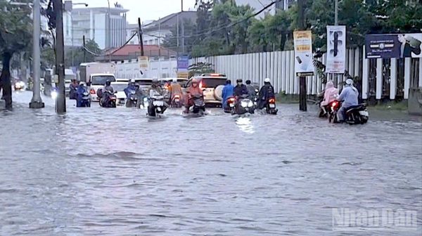 Mưa gây ngập sâu vùng nội thành Cà Mau