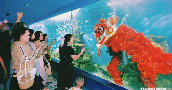 Múa lân dưới nước giữa đàn cá, đội lân tập luyện ra sao?