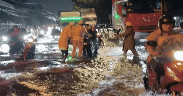 Mưa lớn ở TP.HCM: Đường ngập, xe chết máy, CSGT đẩy xe, dọn cây đổ trong đêm
