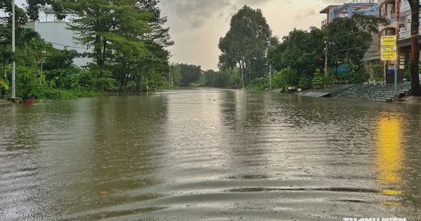 Mưa lớn và triều cường ở TP.HCM: Đường thành 'biển nước', vắng bóng xe