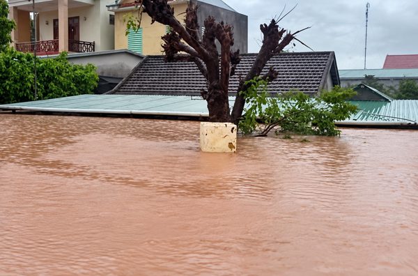Mưa lũ bủa vây nhiều vùng Quảng Trị, hàng trăm nhà dân chìm trong 'biển nước'