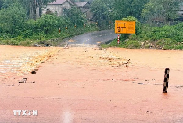 Mưa lũ gây nhiều thiệt hại, Quảng Trị khẩn trương ứng phó