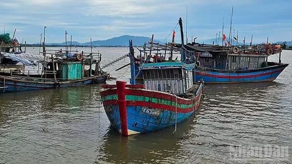 Mưa lũ gây thiệt hại gần 1.000ha lúa và hoa màu