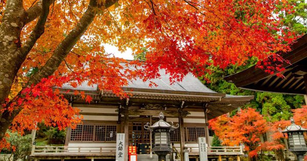 Mùa thu ở ‘tỉnh Udon’ Kagawa có gì ngoài những bát mì nổi tiếng?