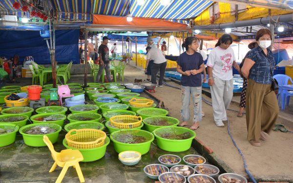 Mũi Né lên kế hoạch chỉnh trang lại khu chợ Làng chài
