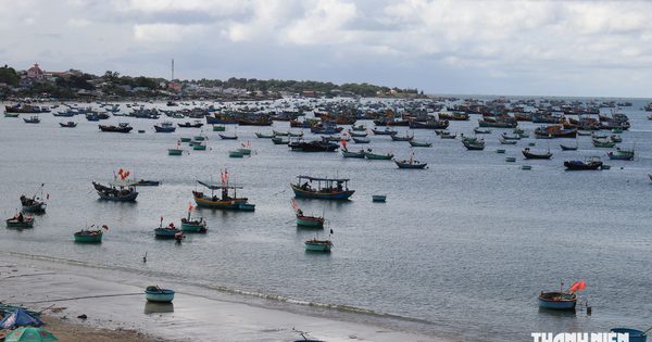 Mũi Né thu ngân sách đạt gần 186% kế hoạch