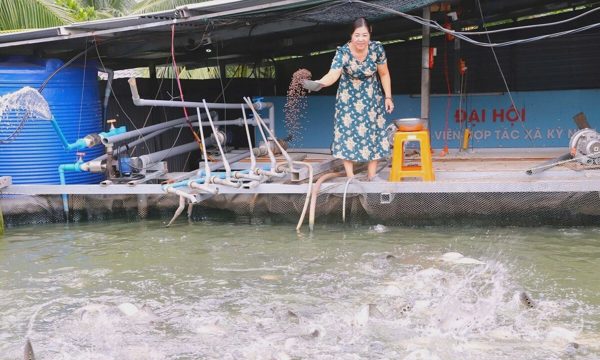 Mượn sổ đỏ khởi nghiệp, gây dựng thương hiệu cá thát lát 28 tỷ