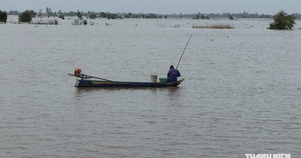 Mưu sinh mùa nước nổi - Kỳ 1: Xóm 'ngóng nước' ở rốn lũ sông Tiền