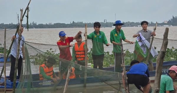Mưu sinh mùa nước nổi - Kỳ 3: Biến sông nước thành 'đặc sản' du lịch