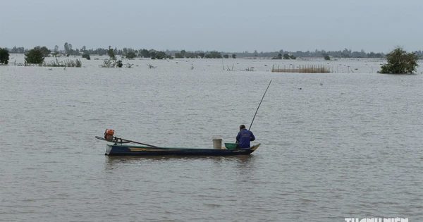 Mưu sinh mùa nước nổi: Mong bà con lạc quan vượt khó trước thay đổi