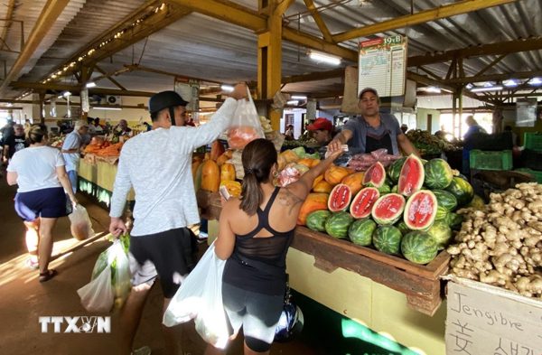 Mỹ tăng mạnh xuất khẩu nhiên liệu và nông sản, thực phẩm sang Cuba