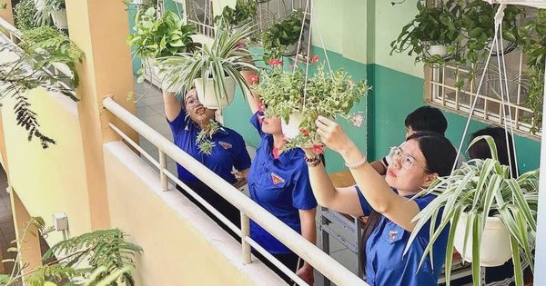 Năm học mới, việc học và sinh hoạt ở trường sáp nhập có bị thay đổi?