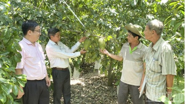 Nâng cao chất lượng nông sản đáp ứng yêu cầu thị trường tỷ dân
