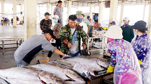 Nâng cao giá trị xuất khẩu nông sản