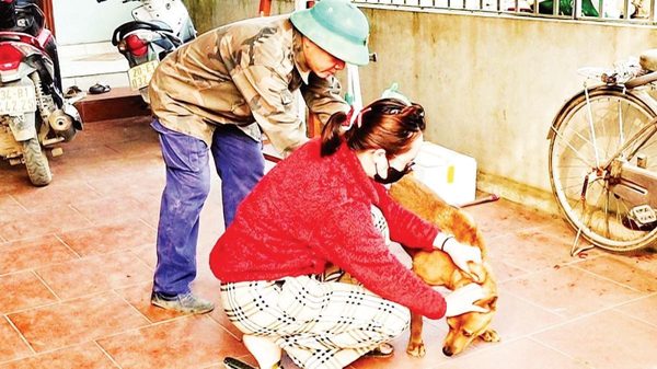 Nâng cao hiệu quả phòng bệnh dại cho vật nuôi