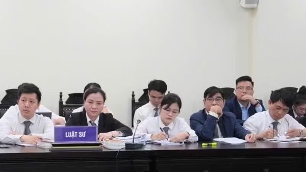 Nâng cao năng lực luật sư công theo hướng chuyên nghiệp, sát thực tiễn
