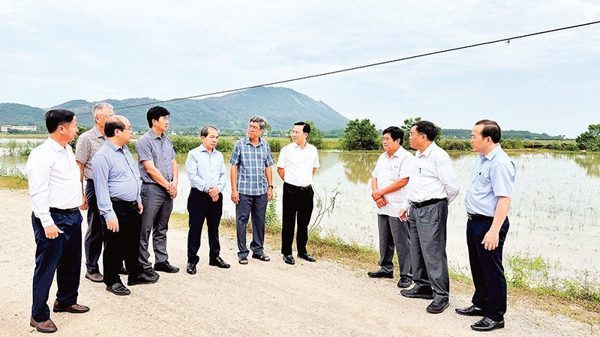Nâng cấp hạ tầng giao thông liên vùng cho miền núi