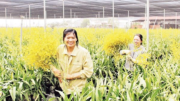 Nâng giá trị ngành hoa