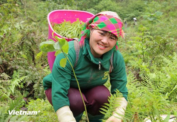 Nâng năng suất lao động quốc gia: Hình thành “nông dân chuyên nghiệp, nông dân số"
