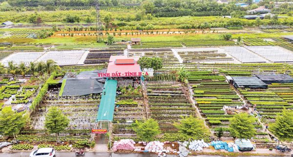 Nâng tầm di sản làng hoa Sa Đéc