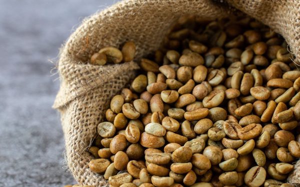 Nâng tầm Robusta Việt: Từ bán nhiều đến bán có giá