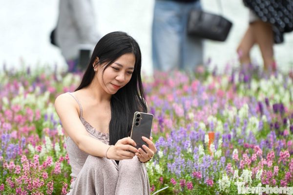 Nàng thơ nô nức check-in với loài hoa mới lạ ở Bờ Hồ