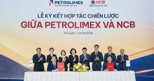 NCB và Petrolimex hợp tác chiến lược, kết nối hệ sinh thái năng lượng - tài chính