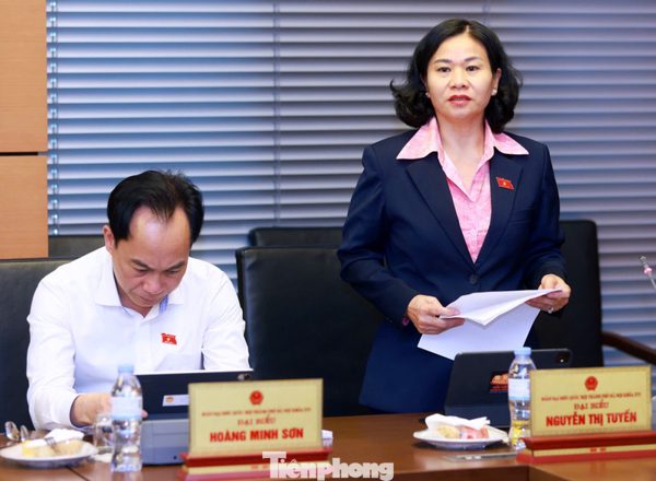 'Nếu xử phạt quá thấp, người vi phạm có thể coi tiền phạt là một khoản chi phí trong hoạt động kinh doanh'