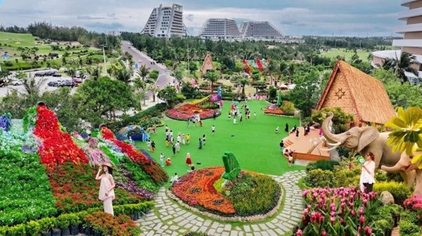 Ngắm ngàn hoa bung nở tại phố biển Quy Nhơn