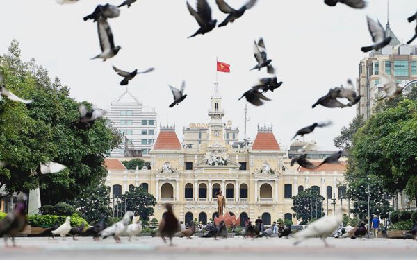 Ngắm nhìn những đàn bồ câu thân thiện giữa trung tâm TP.HCM
