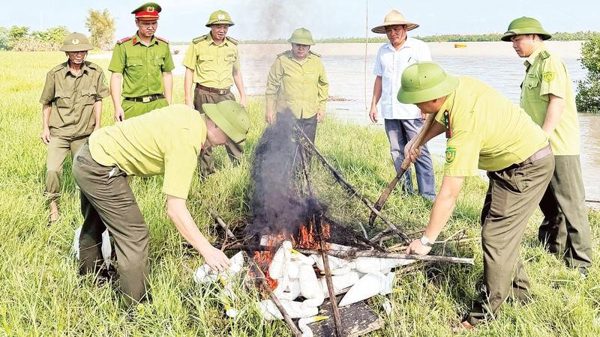 Ngăn chặn tình trạng săn bắt chim hoang dã