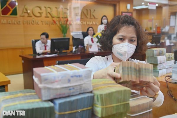 Ngân hàng đấu giá nhà máy nước của công ty có ca sĩ làm chủ tịch