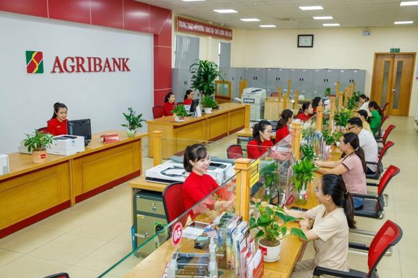 Ngân hàng rao bán nợ của doanh nghiệp từng mang tên Nghệ sĩ Quyền Linh
