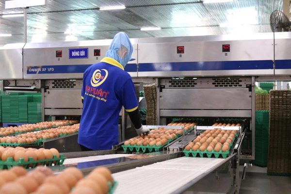 Ngân hàng rao bán trứng gà