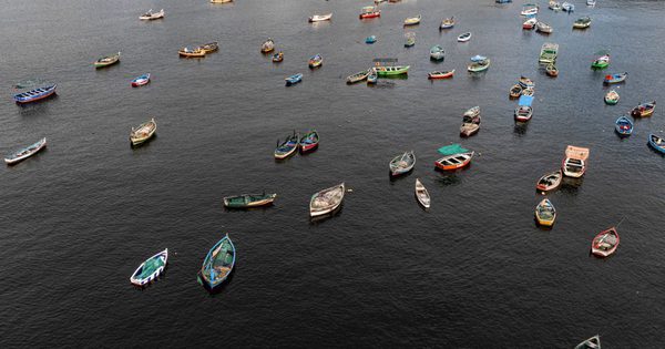 Ngành đánh bắt cá lao đao vì siêu El Nino