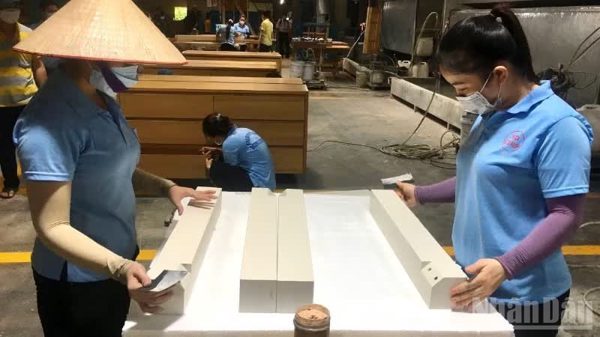 Ngành gỗ Việt Nam tìm dư địa tăng trưởng từ đa dạng hóa thị trường