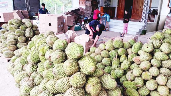 Ngành rau quả hướng tới cột mốc mới