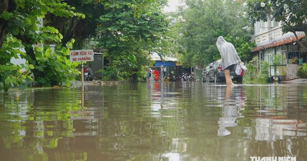 Ngập từ tối đến chiều hôm sau ở khu Thảo Điền: Người mắc võng, người lên gác ngủ