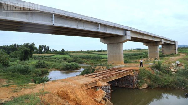 Nghệ An: 4 sở, ban, ngành và 18 xã, phường bị phê bình về kết quả giải ngân