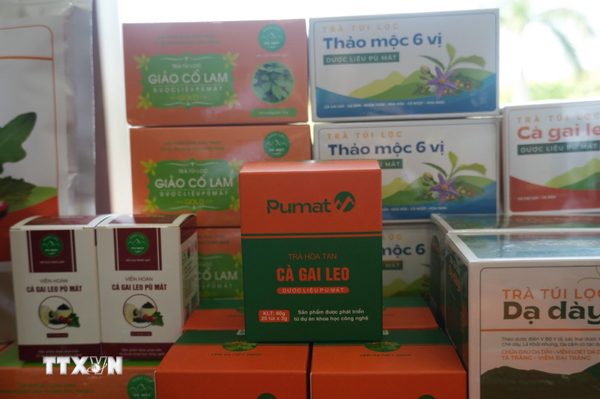 Nghệ An biến lợi thế dược liệu bản địa thành ngành kinh tế xanh