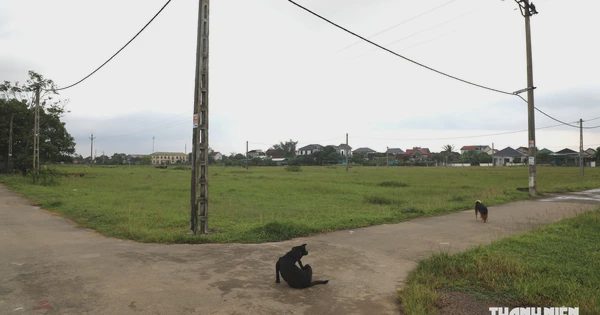 Nghệ An: Đất tái định cư bỏ không, người cần đất lại không được vào