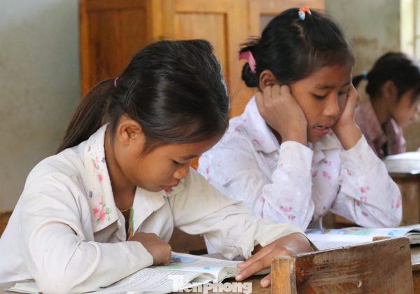 Nghệ An sắp xếp lại 647 trường học