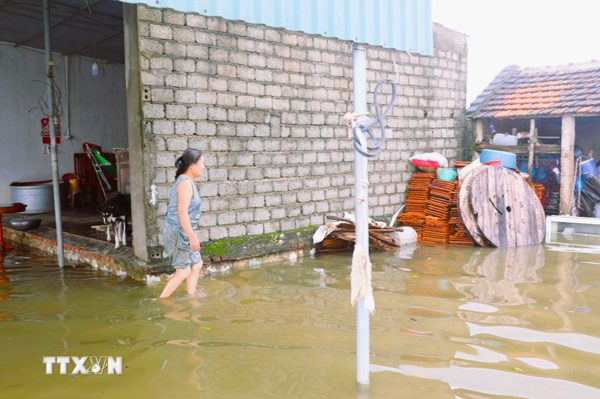Nghệ An tập trung thực hiện các giải pháp phòng, chống ngập úng đô thị